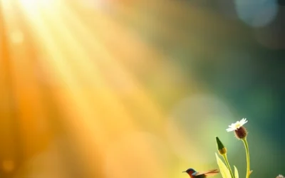 Finding Your Purpose | Aligning Your Career with Your Core Values and Emotional Intelligence