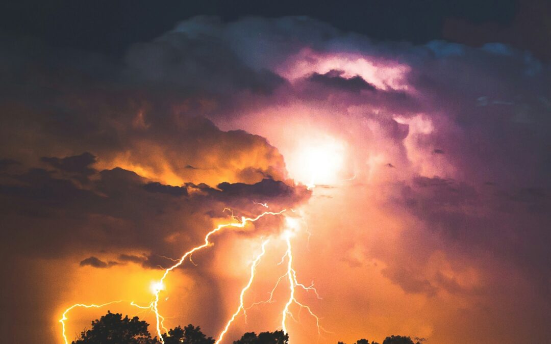 Module 2: Self-Regulation & Self-Empathy | Navigating Your Storm