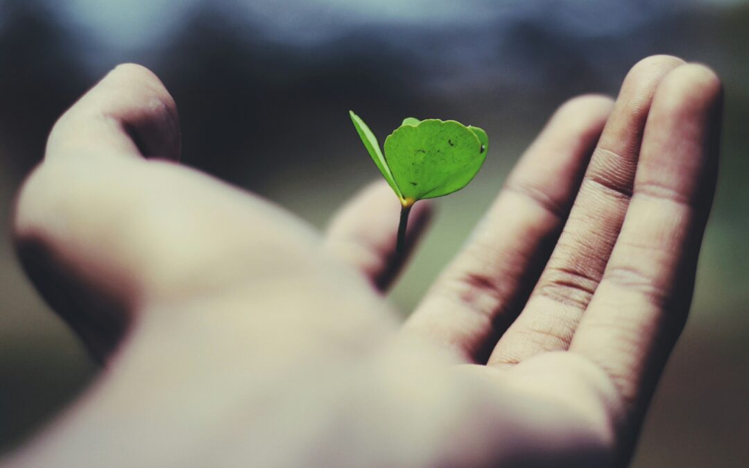 The Power of Yet | Building Resilience and a Growth Mindset